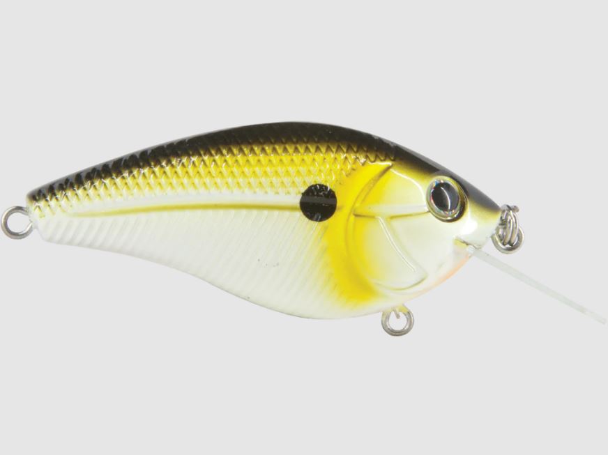 Esche-rigide-hard-baits-crankbait-livingston-lures-dive-master-jr-0208-tennessee-shad-lure-fishing-planet-bassfishing-black-bass-negozio-pesca-online-fishing-shop-pescare.