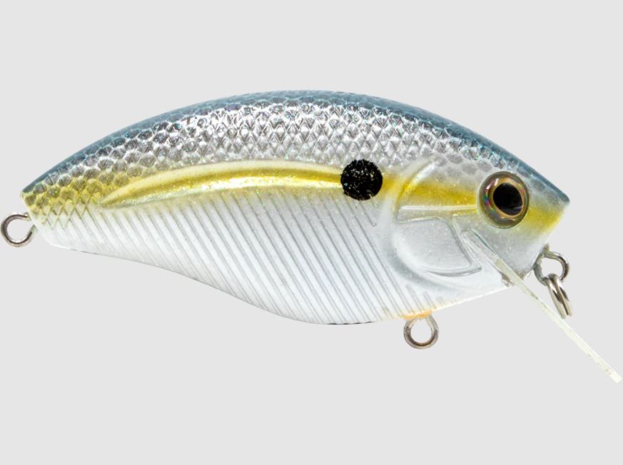 Esche-rigide-hard-baits-crankbait-livingston-lures-howeller-dmc-square-1303-chartreuse-shad-lure-fishing-planet-bassfishing-black-bass-negozio-pesca-online-fishing-shop-pescare.