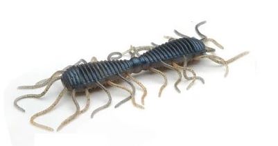Esche-siliconiche-soft-baits-finesse-wacky-worm-vermi-raid-japan-2-way-084-aomiso-lure-fishing-planet.