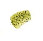 Esca-artificiale-soft-bait-finesse-wacky-bait-morbida-reins-cross-swamp-magnum-b08-green-pumkin-chart-melon-lurefishing-planet-negozio-pesca-online-fishing-shop-bassfishing-pescare.