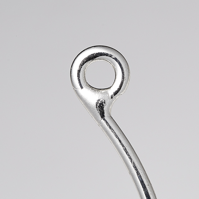 Ami-vanfook-blue-label-for-saltwater-fishing-casting-special-pl-79-detail-silver-lurefishin.